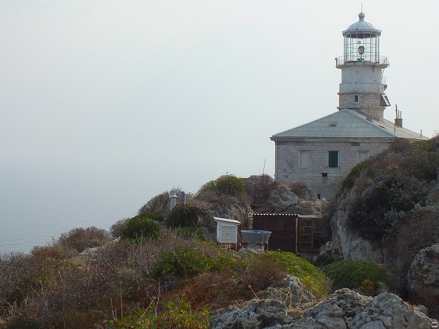img00021.jpg